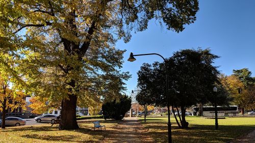 Trees in park against sky during autumn