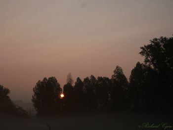 Silhouette trees on field against sky at sunset