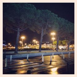 Reflection of illuminated trees in puddle