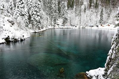 Frozen lake by trees during winter