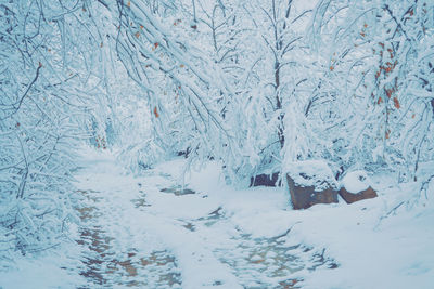 Snow covered land