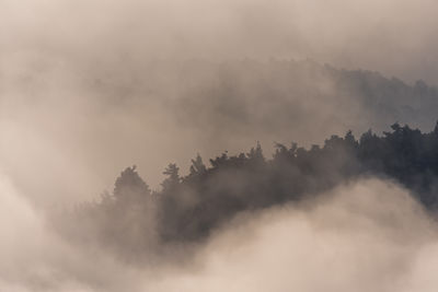 cloud