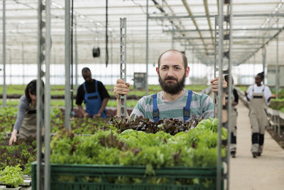 Portrait of young man standing in greenhouse