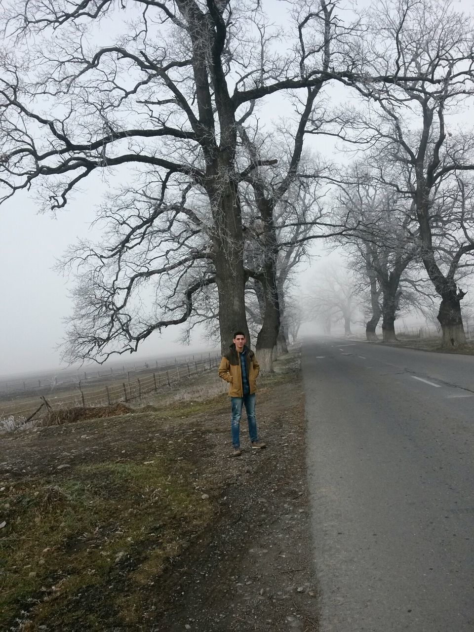 full length, tree, lifestyles, rear view, leisure activity, walking, bare tree, weather, casual clothing, the way forward, season, men, standing, fog, nature, road, day, street