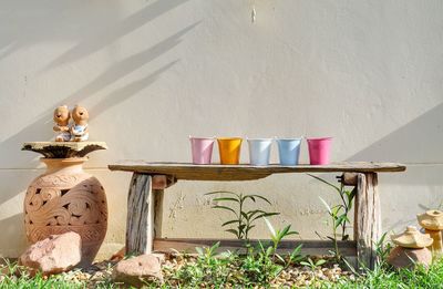 Potted plants on table at home