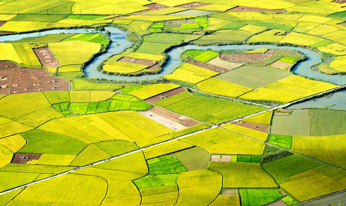 Full frame shot of agricultural field