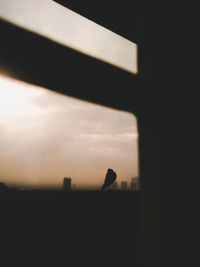 Silhouette of a cat looking through window