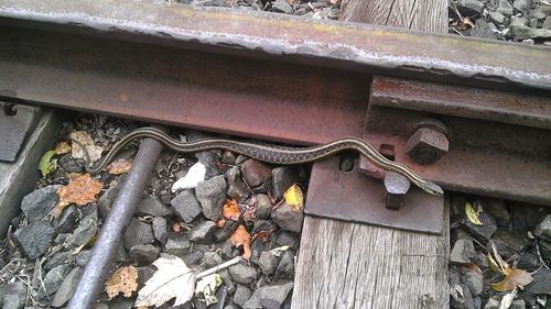 Close-up of rusty built structure