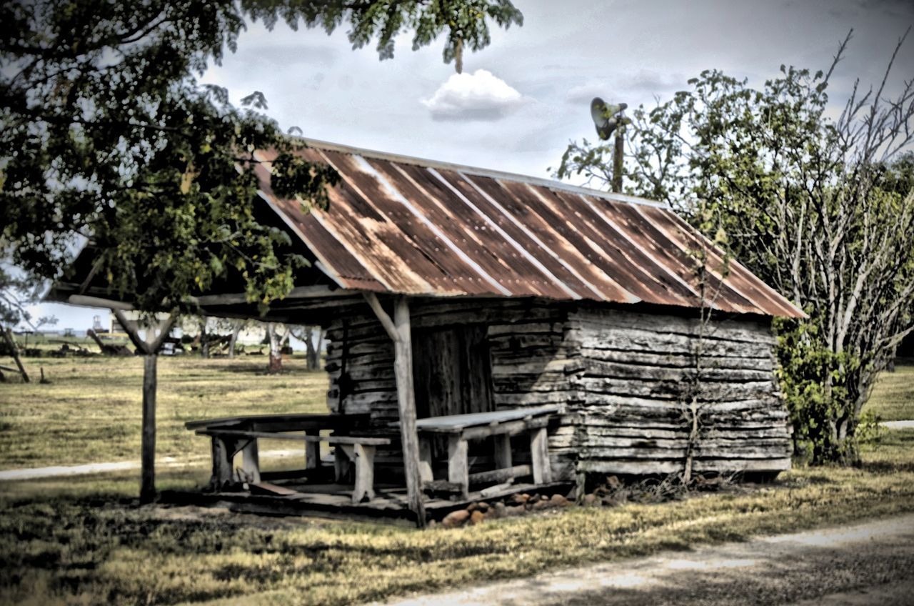 sky, tree, built structure, architecture, building exterior, house, field, grass, wood - material, cloud - sky, barn, cloud, day, rural scene, no people, sunlight, outdoors, abandoned, landscape, tranquility