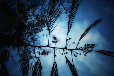 Low angle view of trees against sky