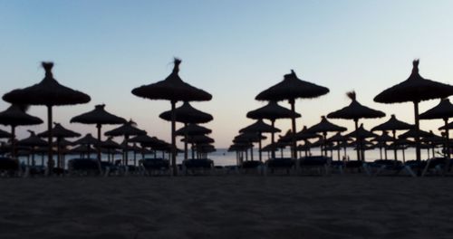 Umbrellas on beach against clear sky during sunset