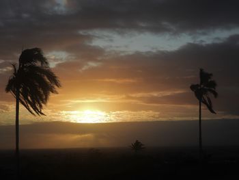 Silhouette palm trees against sky during sunset