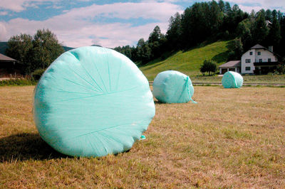 Haylage bales on field in the summer, animal feed in agriculture