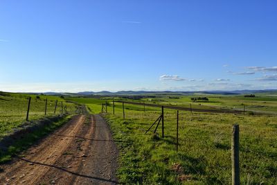 Scenic view of grassy field against sky
