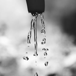 Close-up of water drop