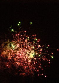 Low angle view of firework display at night