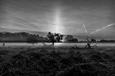 Silhouette trees on landscape against sky