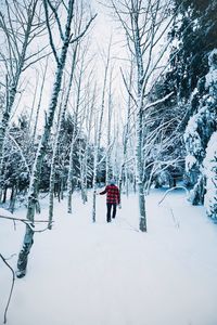 Snow covered trees in forest against sky