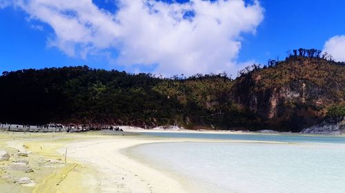 Panoramic shot of trees on beach against blue sky