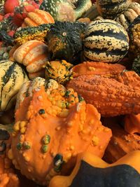 Close-up of pumpkin for sale at market stall