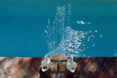 High angle view of food on pier against sea