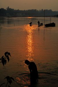 Silhouette ducks swimming in lake during sunset