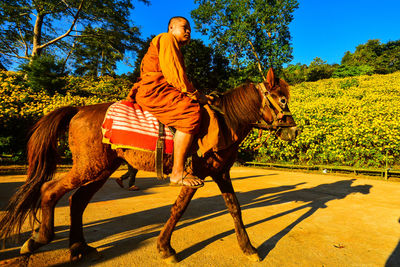 Rear view of man riding horse