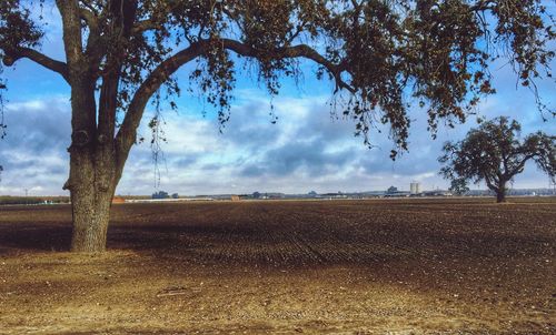 Scenic view of field against cloudy sky