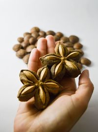 Close-up of hand holding food against white background