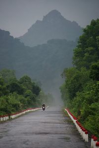 Road amidst trees against sky