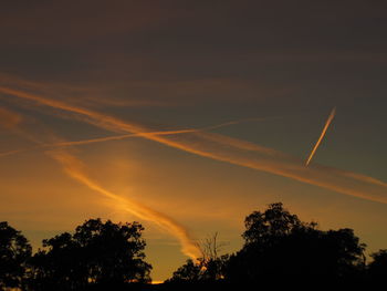 Low angle view of silhouette trees against sky during sunset