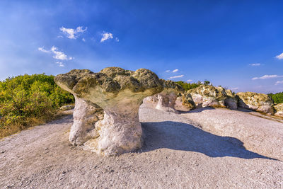 The stone mushrooms is a rock phenomenon