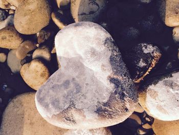 Close-up of pebbles on rock
