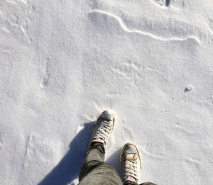 Low section of person standing on snow