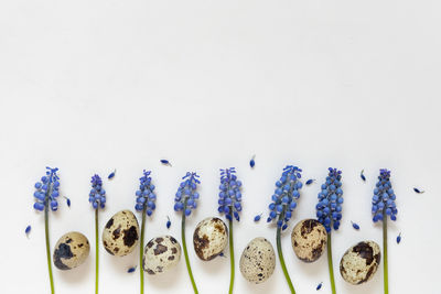 High angle view of food on white background