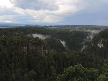 High angle view of river with trees in background