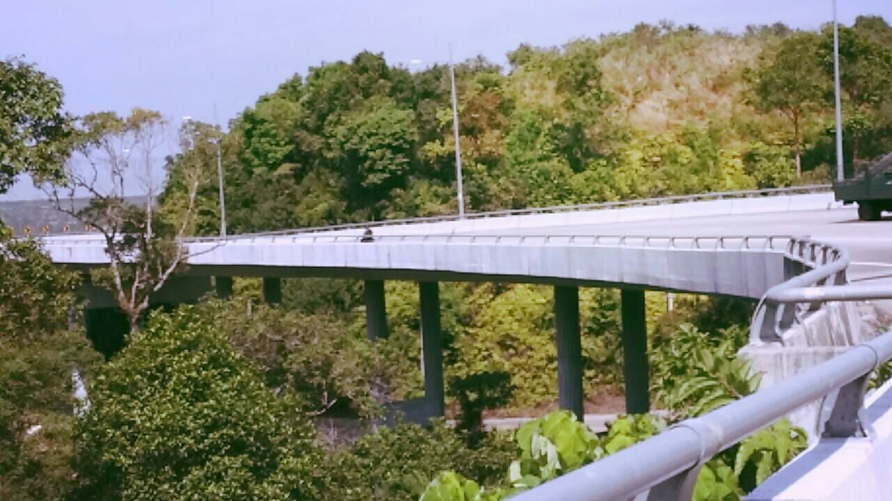 tree, transportation, railing, bridge - man made structure, connection, built structure, road, clear sky, growth, green color, day, architecture, nature, mode of transport, sunlight, outdoors, mountain, incidental people, high angle view, travel