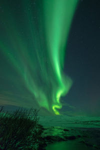 Scenic view of aurora borealis in sky at night