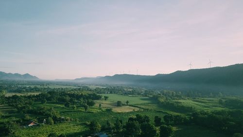 Scenic view of field against sky