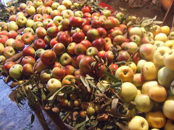 Close-up of food