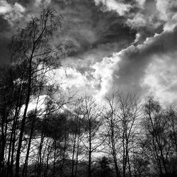 Low angle view of bare trees against cloudy sky