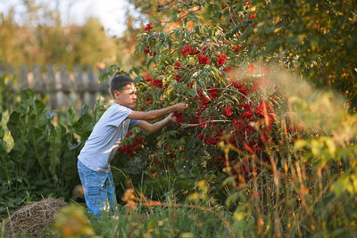 Full length of boy standing on field