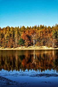 Reflection of trees in lake against sky