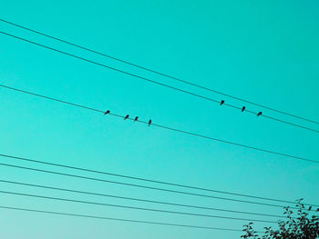 Low angle view of birds perching on power cables against blue sky