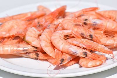 Close-up of seafood in plate