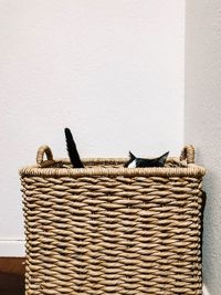 Cat in basket on wall