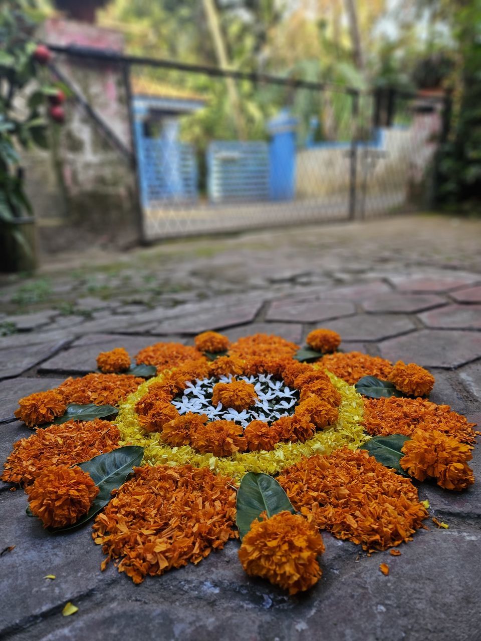 Atham Special in Kerala Kerala GodsOwnCountry MyClick Myson Traditional Festival Flowers Yellow Mobilecamera Photography Potrait Thrissur Kerala India MyHOUSE