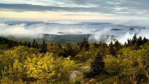 Scenic view of cloudscape over sea