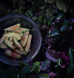 High angle view of fruit growing on plant