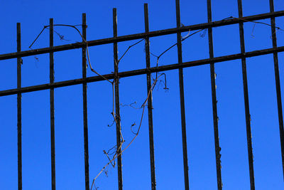 Low angle view of chainlink fence against blue sky